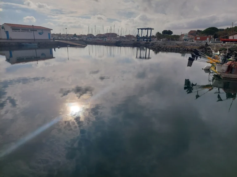 Trauer braucht Raum, keine Perfektion – Wie wir lernen, mit Verlust natürlich umzugehen